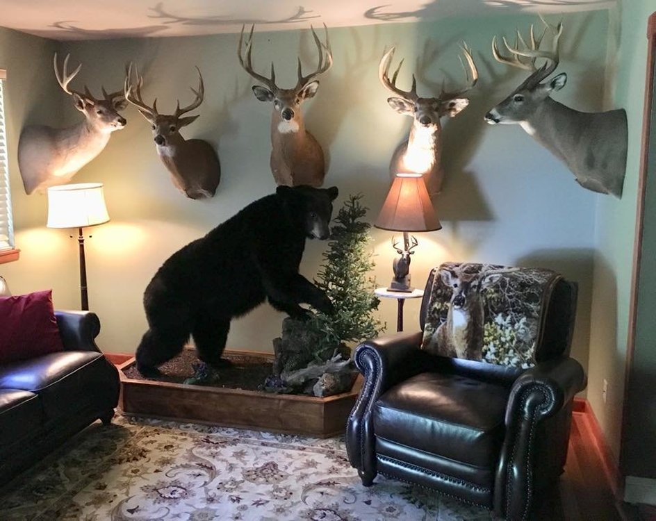 Manitoba Bear Mount 1.jpg