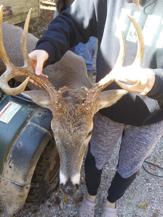 catrinas 19 brows.jpg