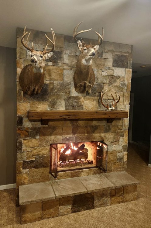 Pair over  fire 2.jpg