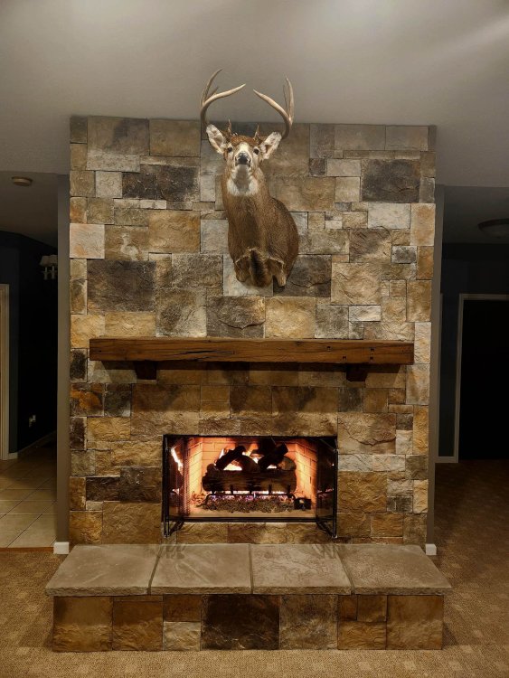 Fireplace.jpg